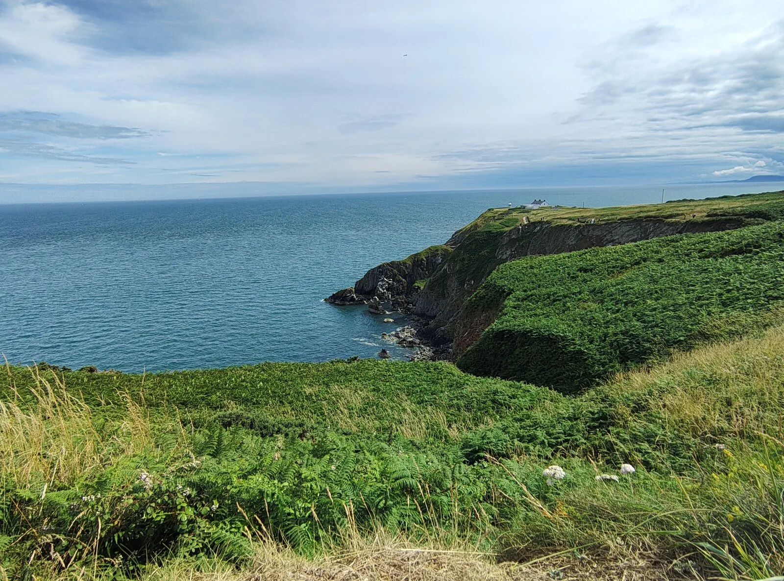 Howth Cliff Walk