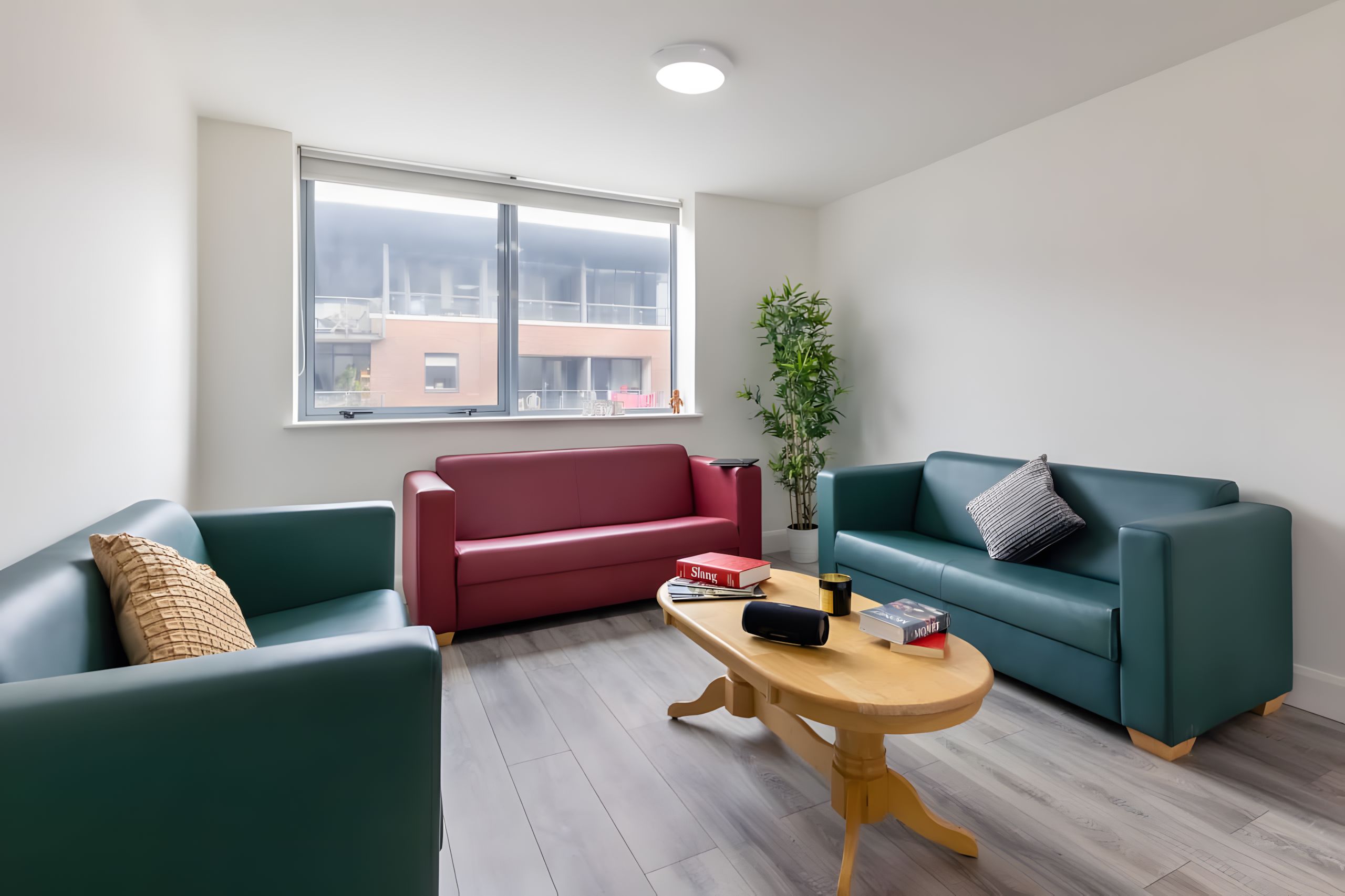 Shared living room with sofas, NCI residence